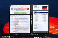 Скриншоты из игры FIFA Manager 10